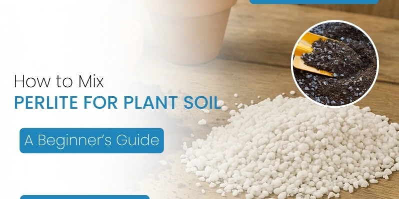 how-to-mix-perlite