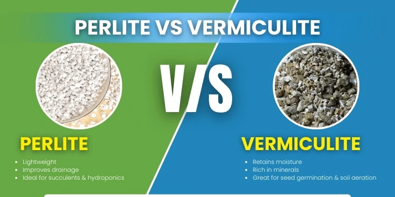 perlite-vs-vermiculite
