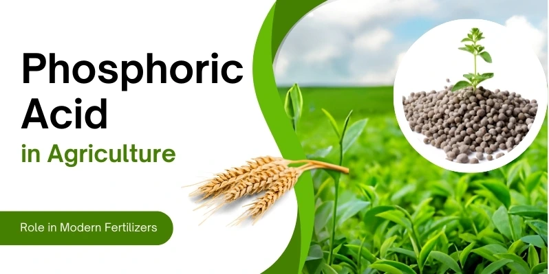 sodium-bicarbonate-explained-food